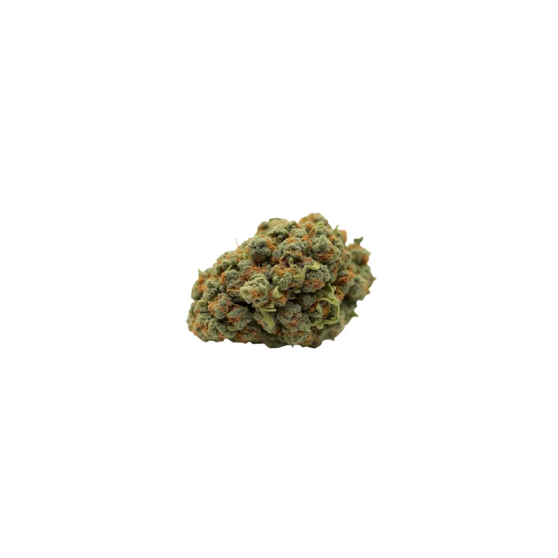 Drapalin 21/1 Jack Herer