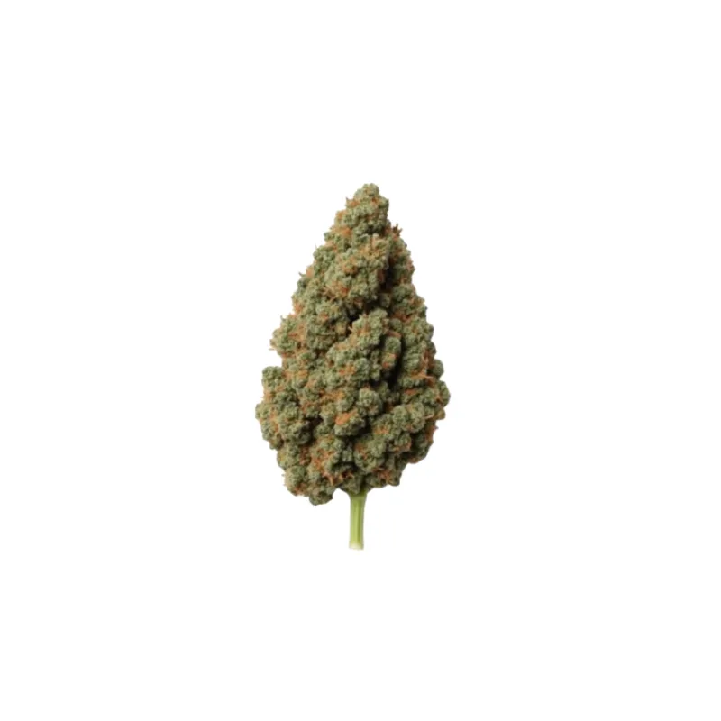 Cannabis flos 24/1 LS Ku. Khanya Select