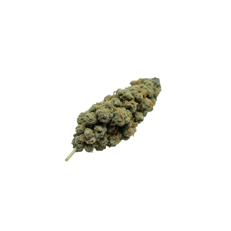 Cannabis flos 25/1 UY Ku. Purple Dog Bud